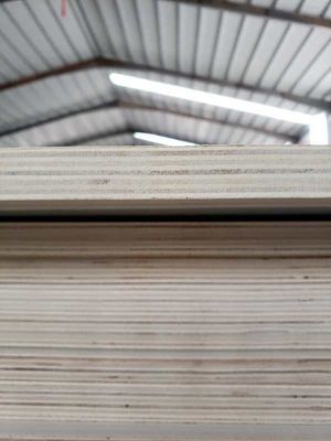 Pannello interno di cartone di rivestimento in legno con cartone ecologico standard E1 e senza vernice