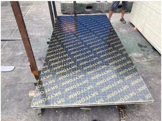 12 mm di compensato a pellicola per la costruzione