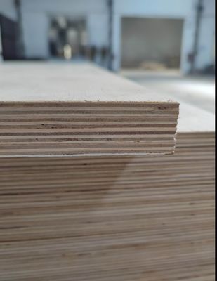 Decorazione alberghiera Legno compensato laminato in melamina da 18 mm con finitura superficiale in cartone di rivestimento