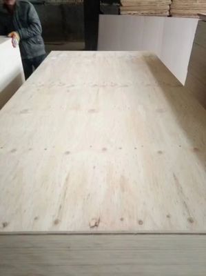 Fabbricazione di prima classe di tutti i tipi di compensato di legno duro Okoume con stile di design moderno