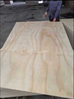 Fabbricazione di prima classe di tutti i tipi di compensato di legno duro Okoume con stile di design moderno