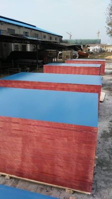 Legno compensato stratificato in plastica di prima classe con elevati standard di produzione e competitività
