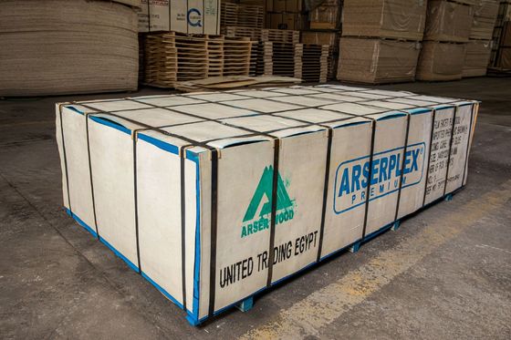 Legno compensato stratificato in plastica di prima classe con elevati standard di produzione e competitività