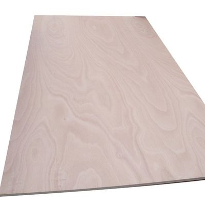 Legno compensato Oguman in stile di progettazione industriale con facciata vietnamita locale / back veneer board