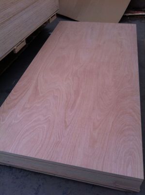 Legno compensato Oguman in stile di progettazione industriale con facciata vietnamita locale / back veneer board