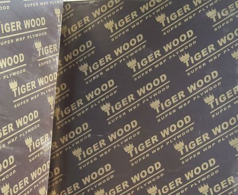 Legno compensato a pellicola flessibile per decorazioni alberghiere a doppio lato