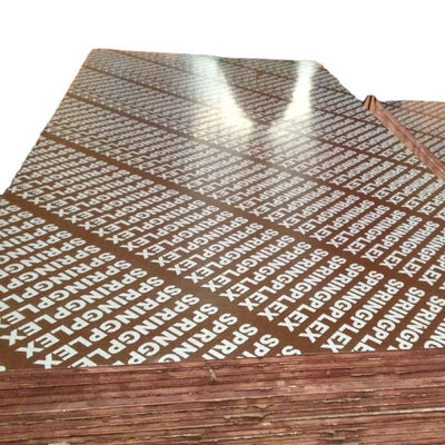 Materiale principale 6/9/12/15/18mm Legno compensato commerciale per l'imballaggio