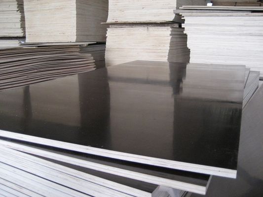Materiale principale 6/9/12/15/18mm Legno compensato commerciale per l'imballaggio