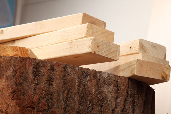 Tavole di legno massello di pino di stile moderno per laboratorio a prezzi accessibili