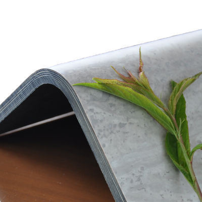 Pannelli laminati in resina ad alta pressione ecologici La scelta perfetta per il design interno