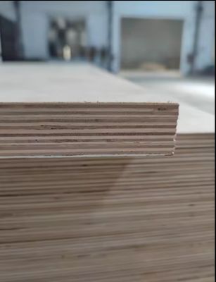 Legno compensato impermeabile marino 3mm-21mm laminato a melamina per decorazioni alberghiere