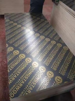 E1 Norme per le emissioni di formaldeide 18 mm di compensato marino per pellicole di costruzione