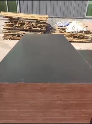 E1 Norme per le emissioni di formaldeide 18 mm di compensato marino per pellicole di costruzione