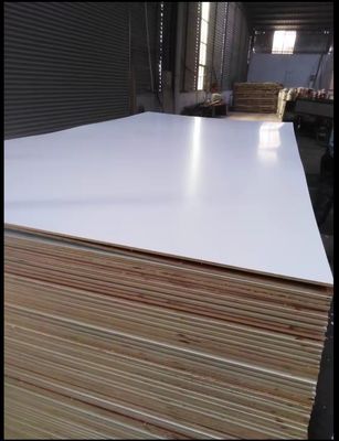 Legno compensato di legno di betulla baltico E0 6 mm 18 mm 25 mm per mobili a pannelli non metallici