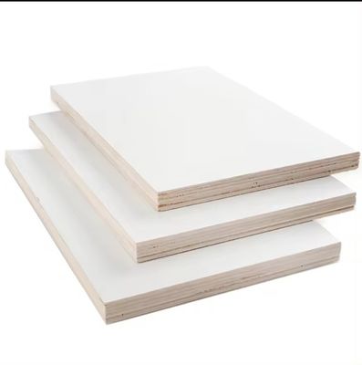 1220x2440 mm Legno compensato melammico non metallico bianco stratificato per mobili per appartamenti