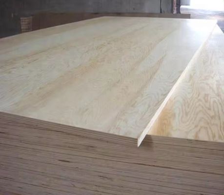 4x8 piedi 1/2 3/4 5/8 spessore compensato di melamina per pannelli non metallici in Marocco